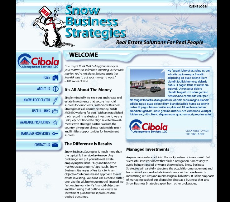 Small Business Strategies · website