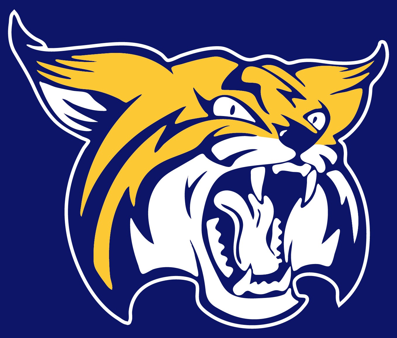 Boca Raton Community High School · Identity design 30 / Variant 3