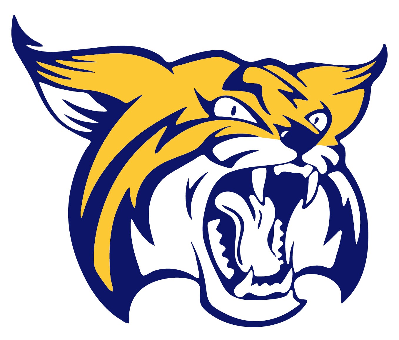 Boca Raton Community High School · Identity design 30