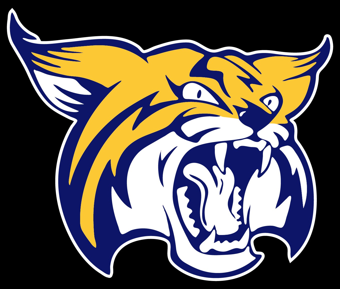 Boca Raton Community High School · Identity design 30 / Variant