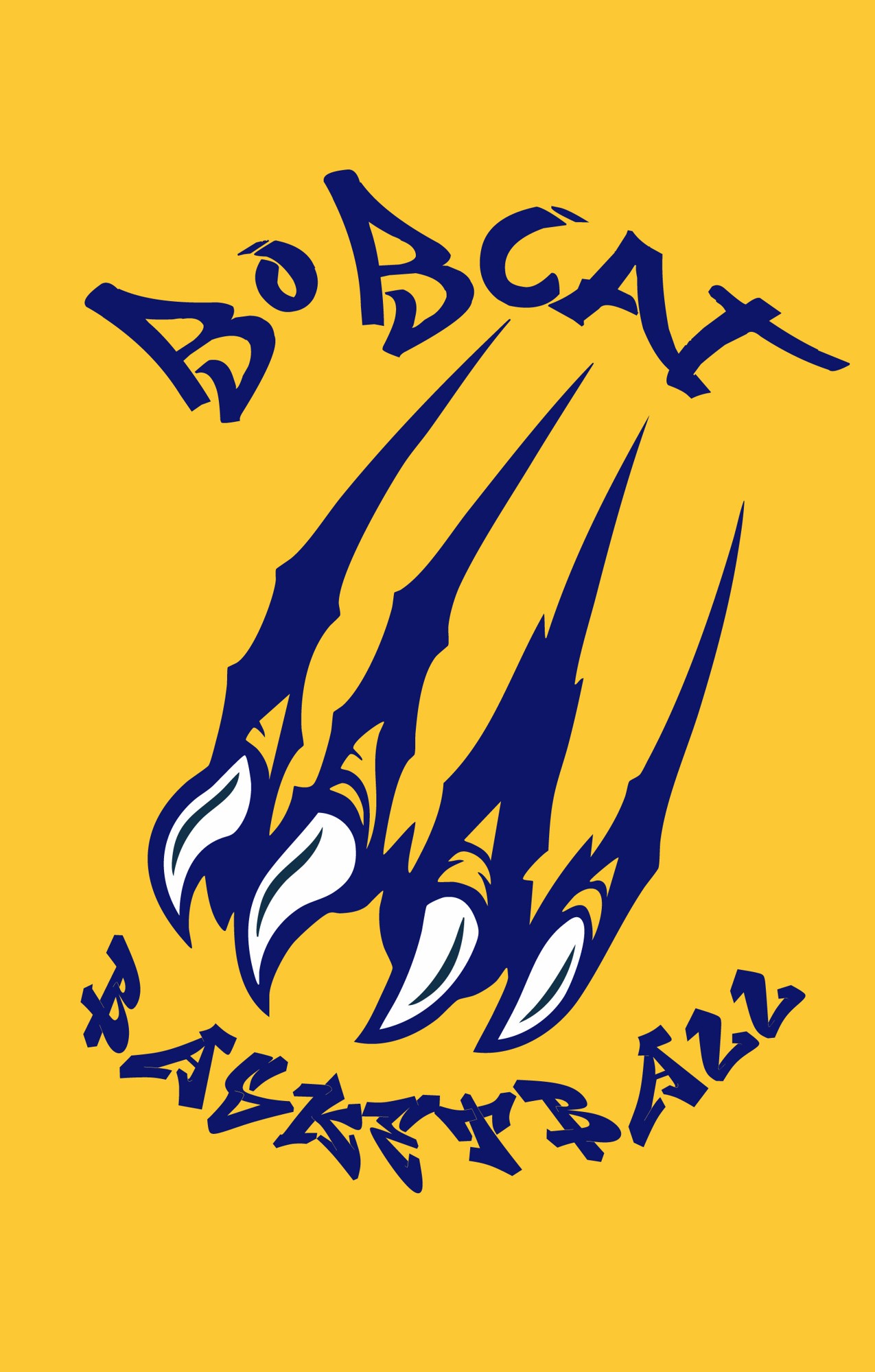 Boca Raton Community High School · Apparel 4 B / Variant 2