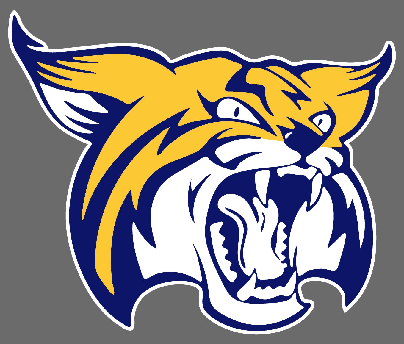 Boca Raton Community High School · Identity design 30 / Variant 2