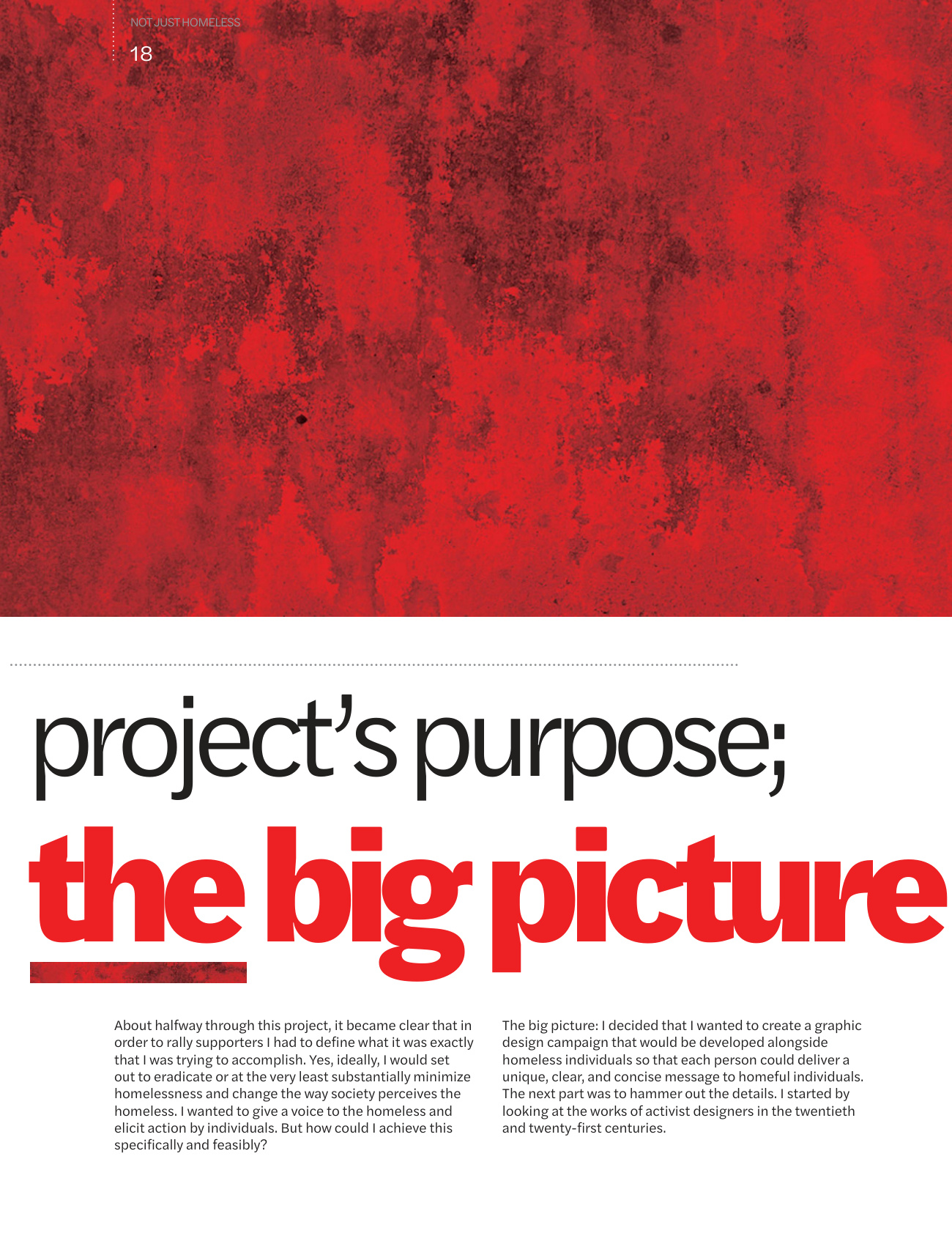 The project’s purpose